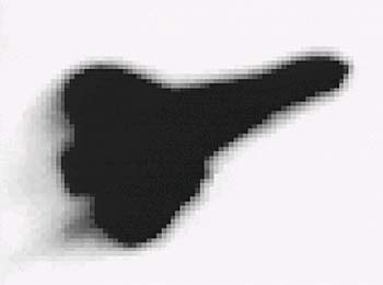 Reentrada del  Columbia  captada por un telescopio.