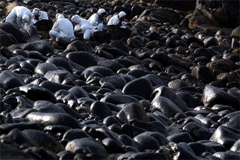 Un grupo de voluntarios limpiaba ayer de chapapote las rocas manchadas con fuel procedente del  Prestige  en la costa de Muxía.