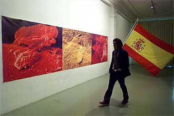 Aspecto de la pieza  SIPACO,  de Joan Fontcuberta, que incluye una bandera española.