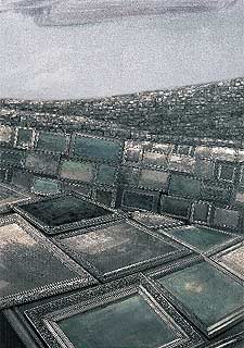  La segona edat de les obres 11 (La segunda edad de las obras 11)  (2002), de Perejaume.