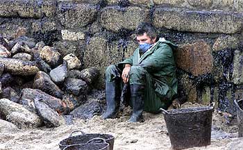 Una de las imágenes sobre la catástrofe del  Prestige  por las que Luis Magán ha recibido el premio del CIP.