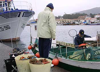Pescadores de la cofradía de Portosín (A Coruña), donde ya se autorizó la pesca el pasado 27 de febrero.
