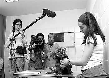 La perrita  Perla  visita una clínica veterinaria, momento que capta la cámara del programa.