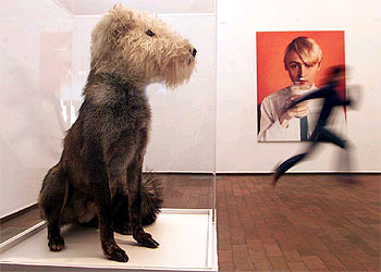  Inadaptado,  de Thomas Grunfeld, y al fondo Nazi Milk, de General Idea, obras presentes en la exposición.