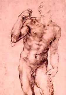 Fragmento de  Hombre desnudo de pie , de Miguel Ángel.