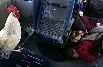 LAS VÍCTIMAS CIVILES.