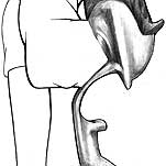 "Todos me  consideran ya el líder"