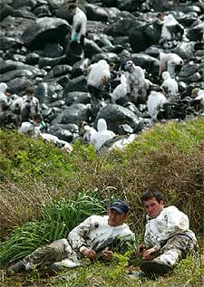 VUELVEN LOS VOLUNTARIOS.