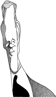 El guardián de la City