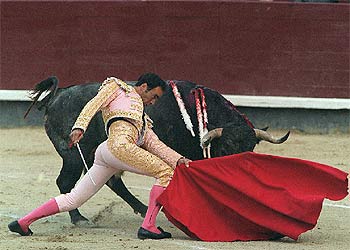 El Cid, con  Guitarrero,  toro que dio la vuelta al ruedo en Las Ventas en mayo del año pasado.