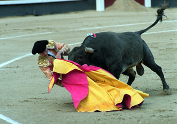 Gómez Escorial, volteado por su primer toro al recibirlo a  porta gayola.rnrn 
