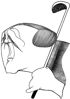 "Mi leyenda depende de la memoria de la gente"