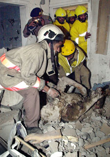 Los equipos de rescate sacan un cadáver de los escombros ayer en Riad.