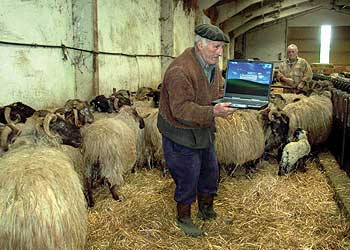 Martín Echenique, pastor del pueblo navarro de Burguete.