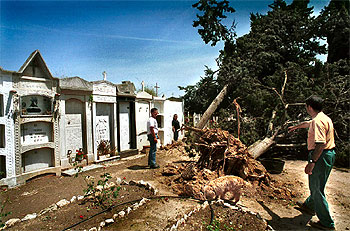 Un tornado arrancó el lunes varios árboles del cementerio de Benissanet, en la Ribera d'Ebre.