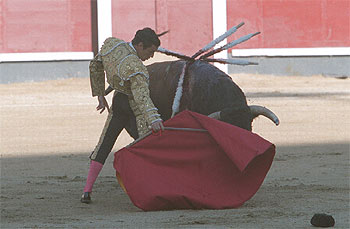  Joselito,  en uno de sus pases ayer en Las Ventas.