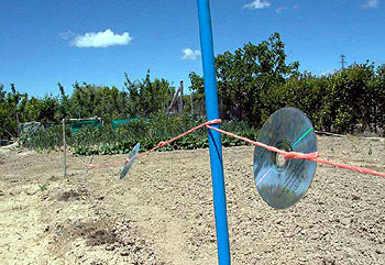 LA MULTIFUNCIÓN DE LA HIGH TECH.