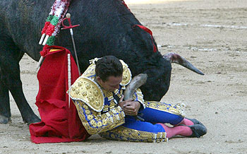 Fernández Meca, ayer, durante su cogida en Las Ventas.