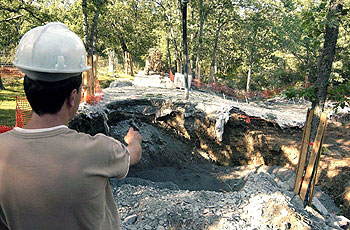 MÁS PROBLEMAS EN EL TREN VELOZ.