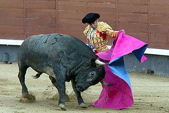 Luis Francisco Esplá en uno de sus pases ayer en Las Ventas. rnrn MANUEL ESCALERA