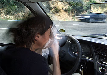 Las alergias pueden ser causa de distracción al volante y provocar accidentes.