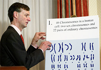 David Page utiliza un cartel para explicar ayer la secuencia y comportamiento del cromosoma Y.