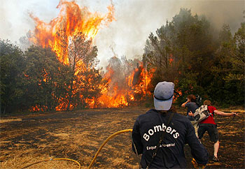 La tramontana facilitó la extensión del incendio de Vilademuls (Pla de l'Estany) a través de los bosques y las zonas de cultivo.