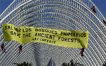 Activistas de Greenpeace, ayer, en el momento de descolgarse desde lo alto de L'Umbracle para colocar la pancarta contra la madera ilegal.