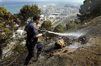 Arden cinco hectáreas en la ladera de Montjuïc