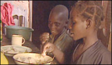 Se presenta el Portal España-FAO