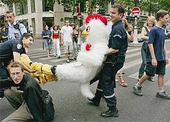 En defensa de los pollos.