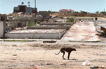 El final del Cerro de las Liebres