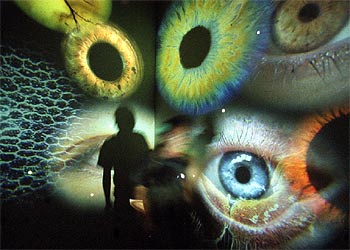 La instalación  Interruptor del tiempo , de Daniel Canogar.