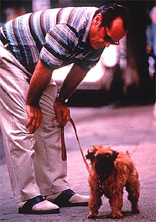 Jack Nicholson interpreta un personaje obsesivo en la película  Mejor imposible. 