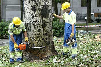 La lluvia aplaza la sentencia