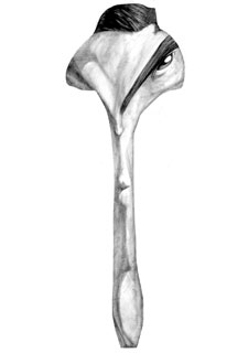 "Debimos encarar a Lituania sin tanta tensión, disfrutando más de la final"