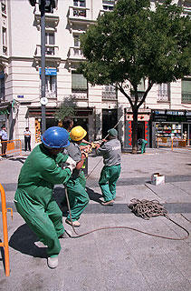 Tala de árboles en la plaza de Dalí