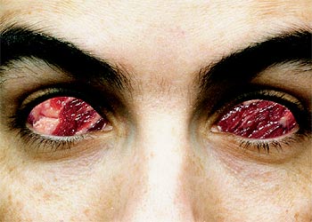  Sangre fría. Un poema en tres partes  (1996, fotografía digital de Hilla Lulu Lin, Israel).