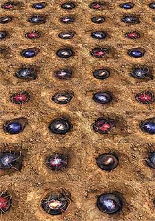  Sin título,  de Marina Núñez.