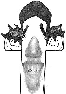 Una fuerza de la naturaleza