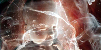 Obra de Lynn Fox 'Nature is Ancient' para la cantante islandesa Björk.