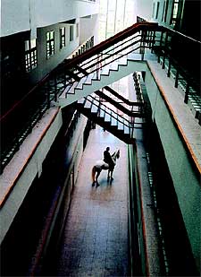  Arquitectura para el caballo,  de Fernando Sánchez Castillo.
