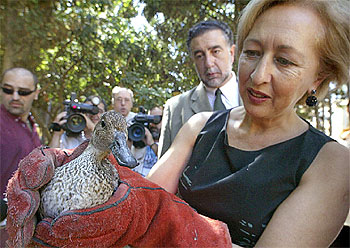 Aves protegidas para el parque urbano de Huércal Overa