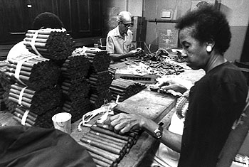 Trabajadores dedicados a la elaboración de puros habanos en Cuba.