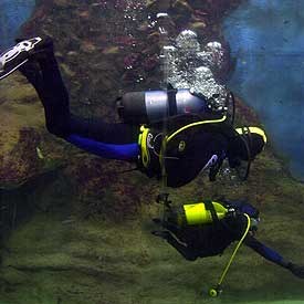 Submarinismo para minusválidos