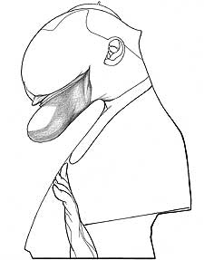 Juan Pablo II, visto por Sciammarella.