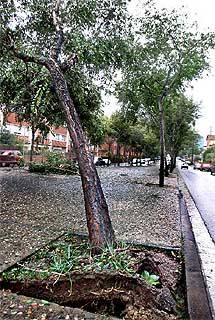 El temporal de viento y lluvia azota Girona