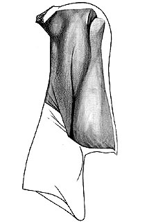 La semana más penosa de Kluivert