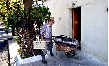 El barrio de La Catalana, un poblado dentro de la urbe