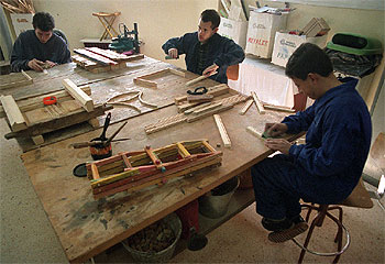 SE NECESITAN PROFESORES.